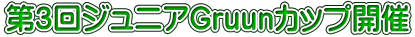 ��3��W���j�AGruun�J�b�v�J��