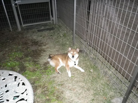 IMGP0087