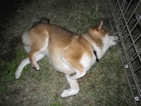 IMGP0091