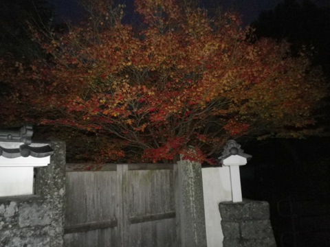 IMGP0094