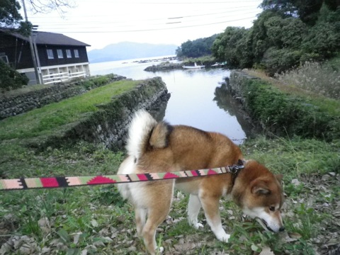 IMGP0121